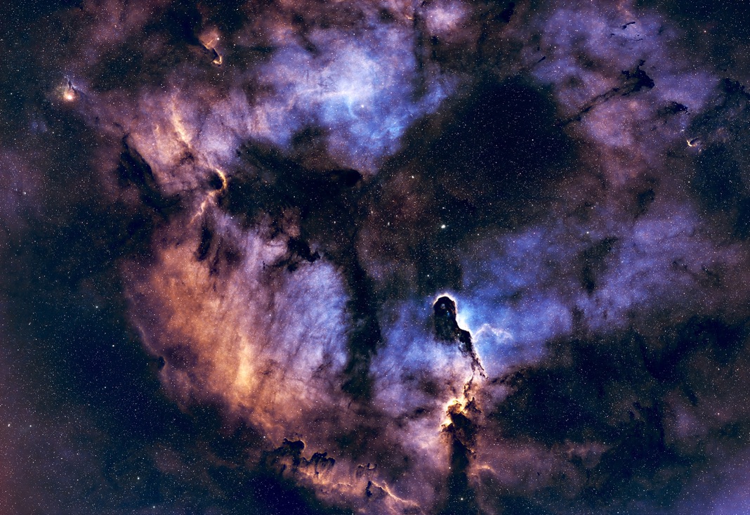 Elephant's Trunk Nebula photographed by Christopher Walker
